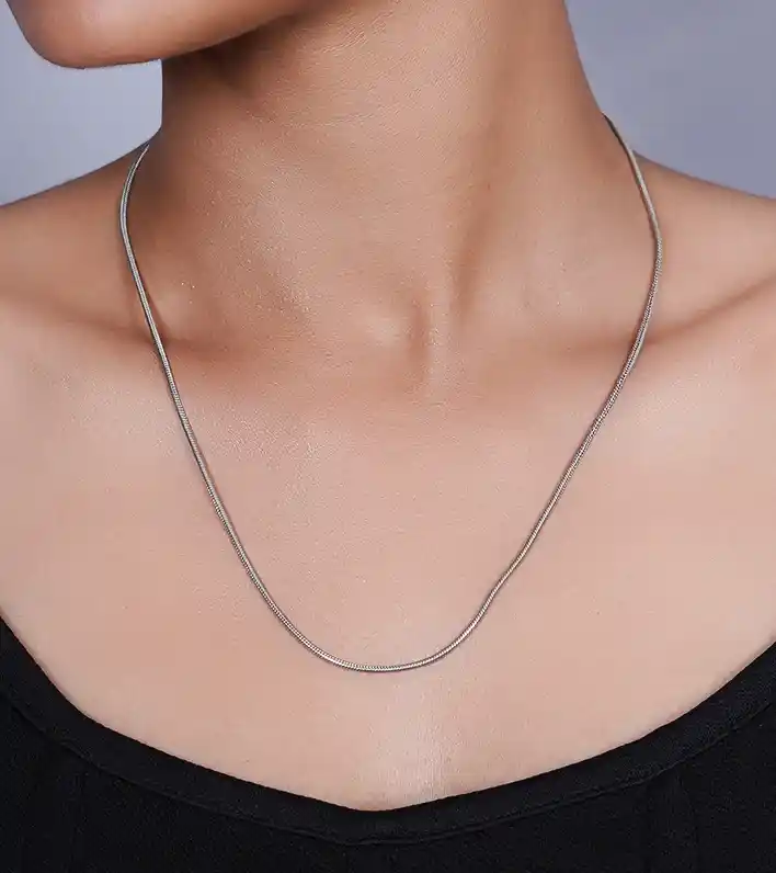 Minimalist Snake Chain Necklace